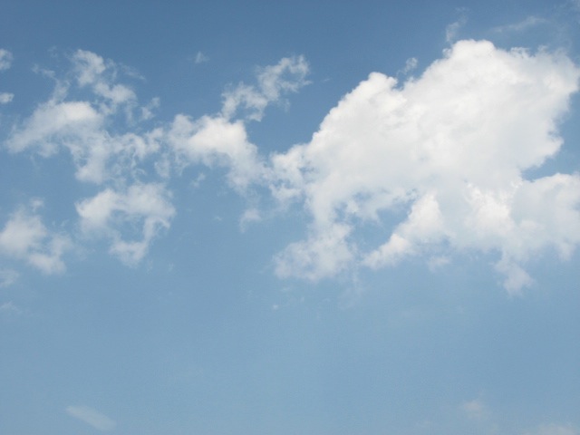 画像: 形になっていたのは