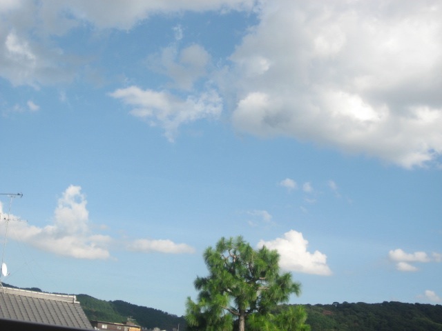 画像: 空全体で