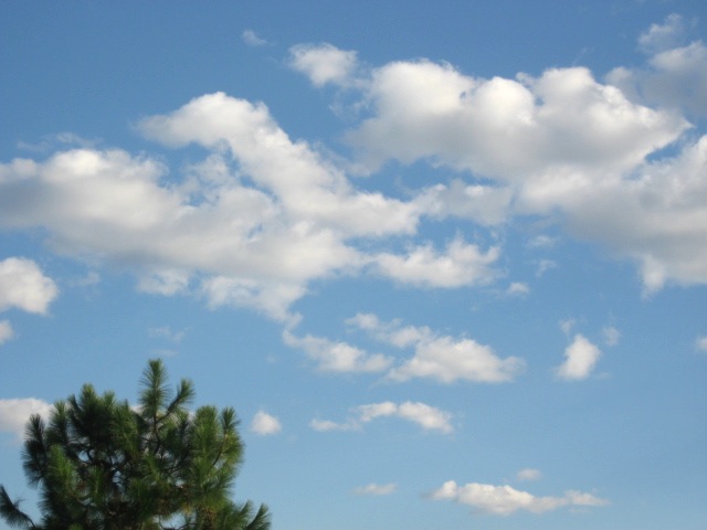 画像: 明るい空。。