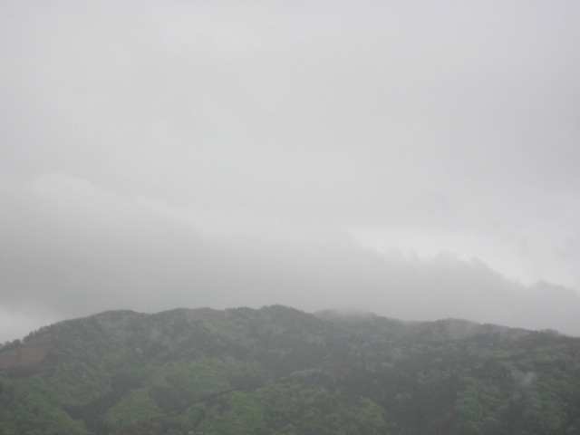 画像: 雨降り。。