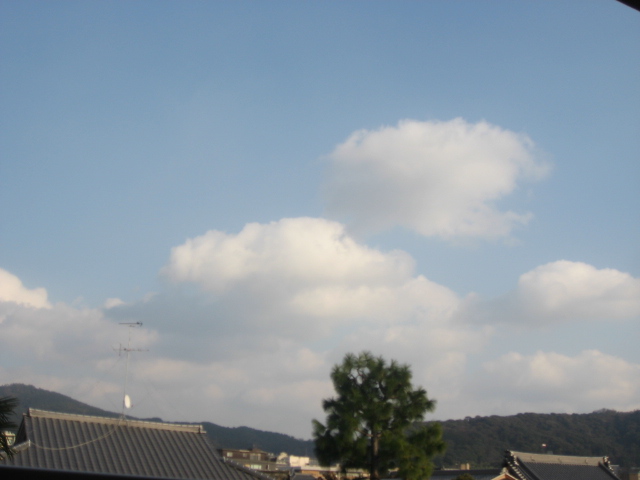 画像: 短いあいだの