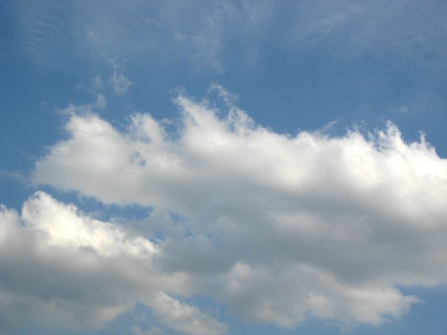 画像: 暖かかったですね。。