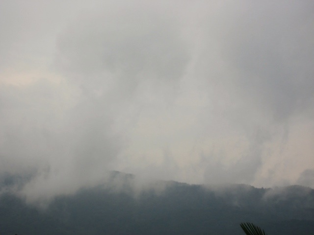 画像: ずっと雨降り