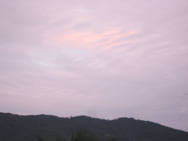 画像: 雨のあと