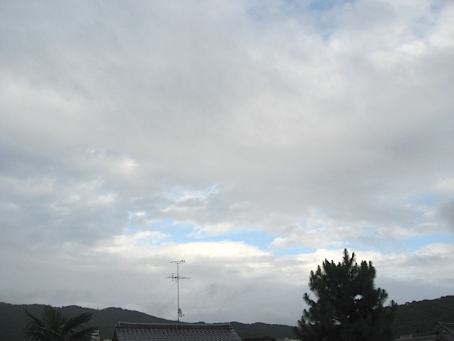 画像: 雨でした。