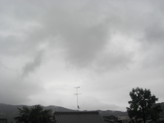 画像: 雨になりました。
