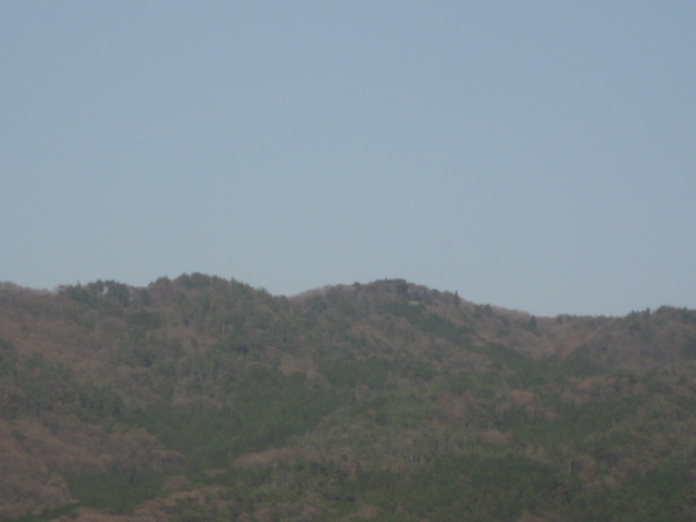 画像: 小春日和、