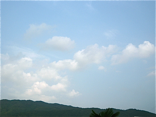 画像: 曇り気味でした。