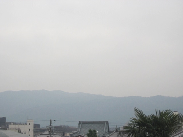画像: 今年にはいってから