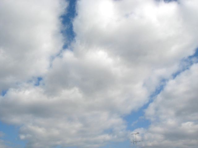 画像: 最高気温8度。。