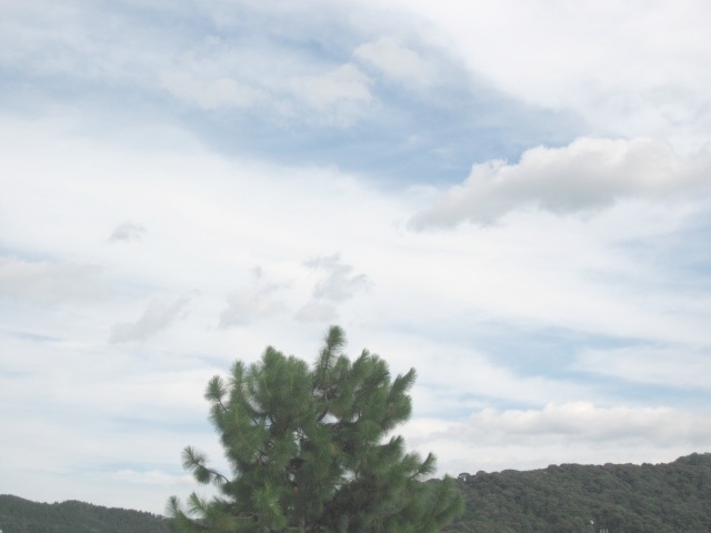 画像: 近くの雲だけ