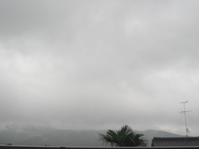 画像: 降りました、降りました。