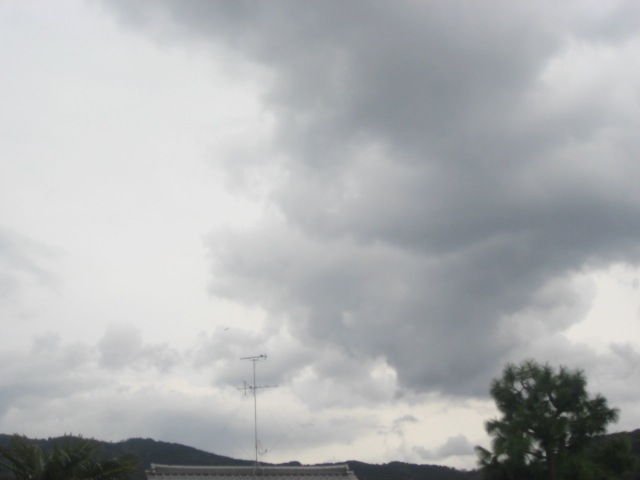 画像: 曇ってきました。。