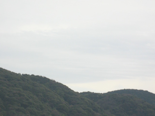 画像: 曇り。けれど