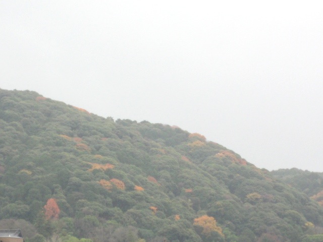 画像: 雨から
