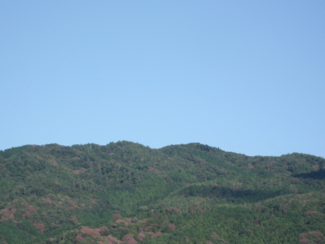 画像: 晴れわたって