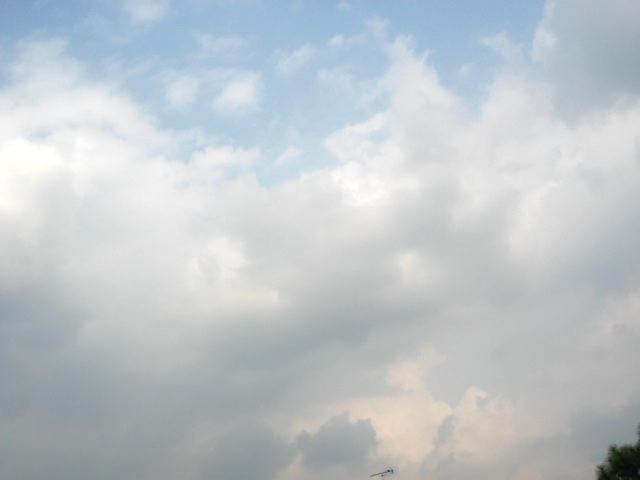 画像: お天気でしたが