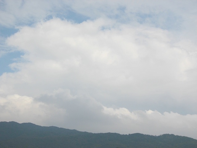 画像: 雲は真っ白でした。
