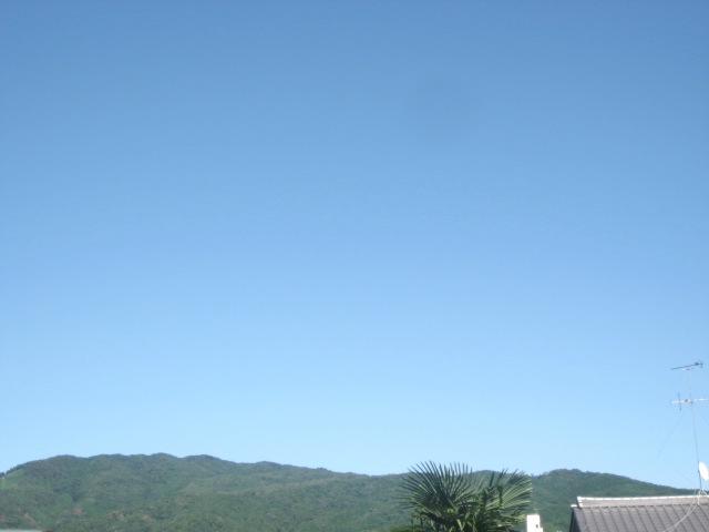 画像: カラッとして