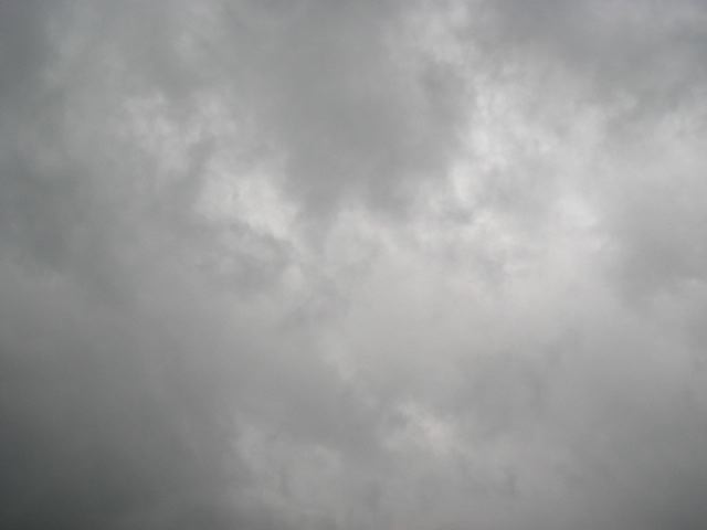 画像: 今日は雨模様。。