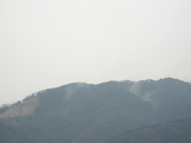 画像: 大文字山には