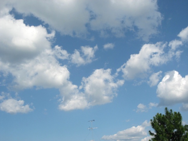 画像: 良いお天気でした。