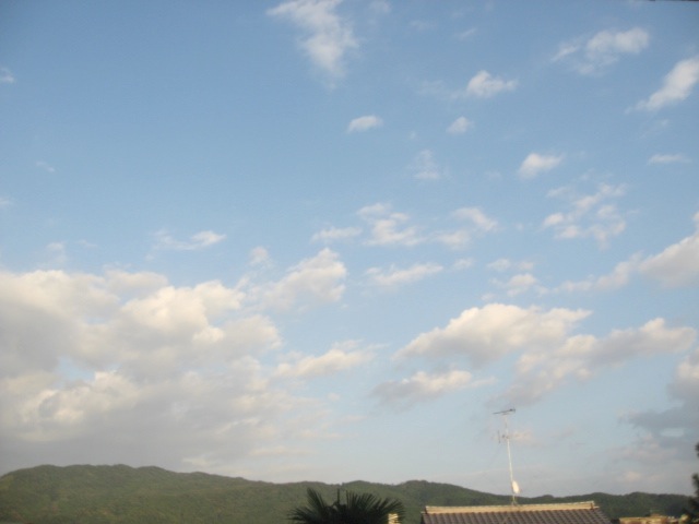 画像: オリオン座流星群。。