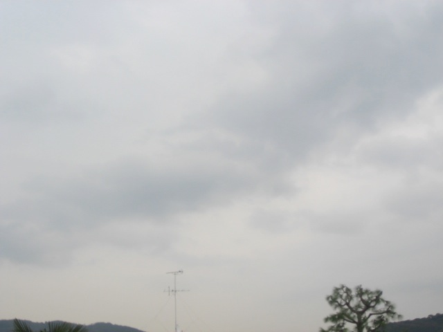 画像: 春の暖かさを