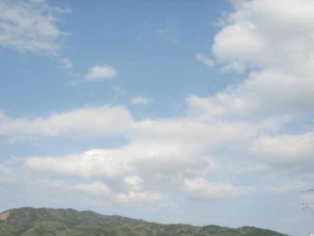 画像: いいお天気です。