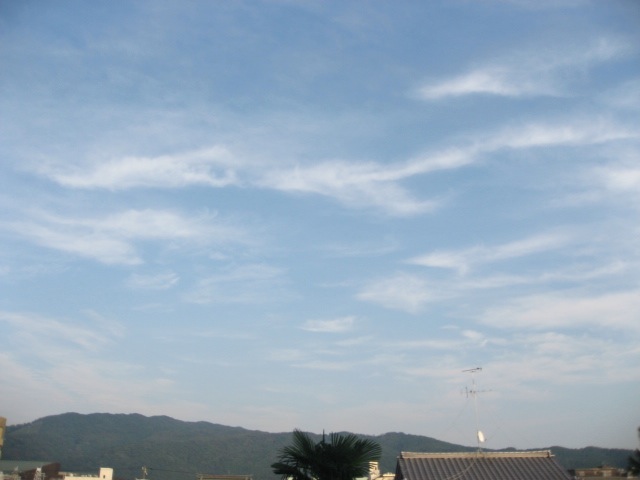 画像: フワフワと漂う