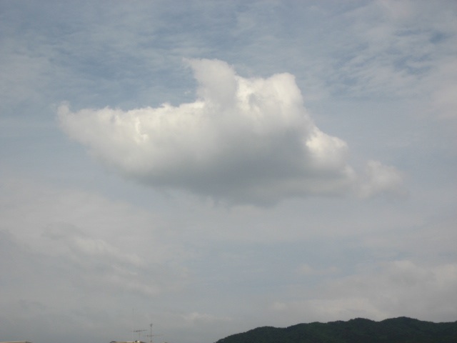 画像: 翼を広げたような雲が
