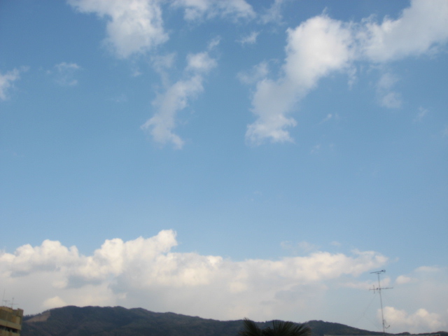 画像: 空が広かった