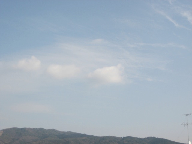画像: 冷気がぴったり