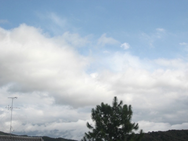 画像: 青空です。