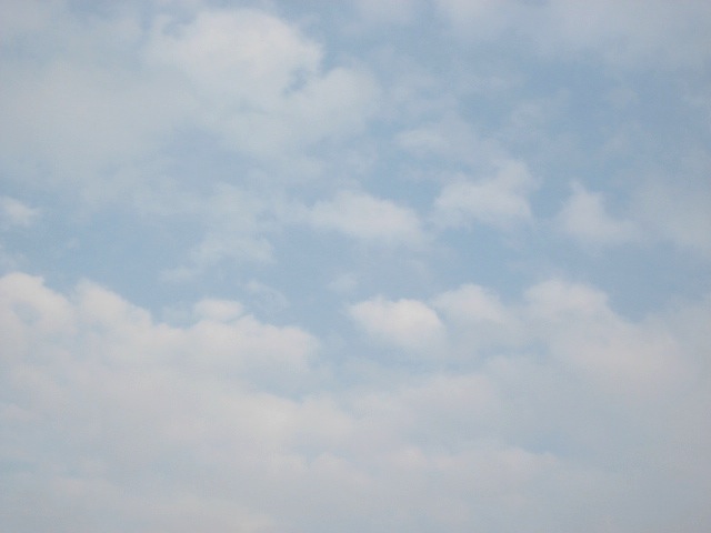 画像: うすく晴れています。。