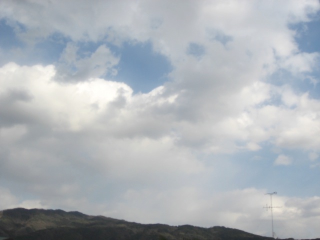 画像: どこに向かっているのかなと