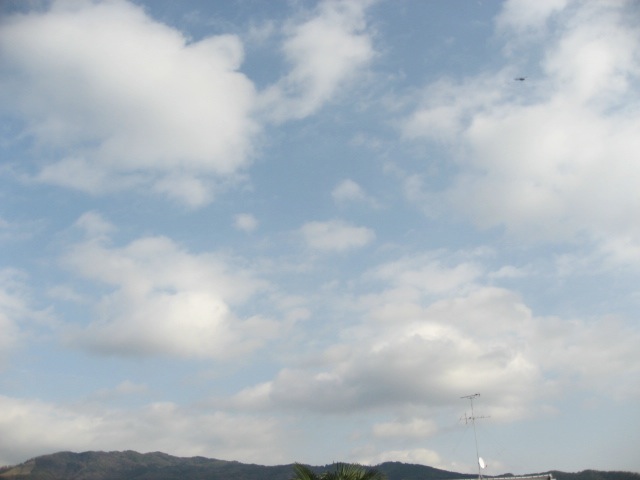 画像: 真綿のような