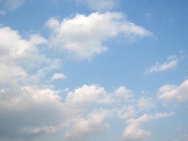 画像: しだいに