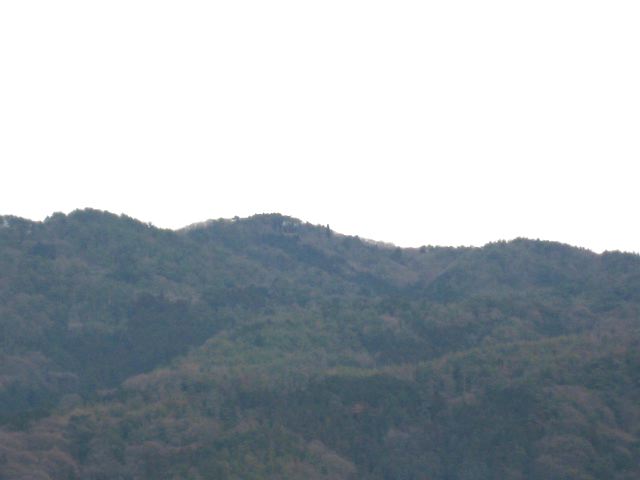 画像: 太陽が見たかったですが