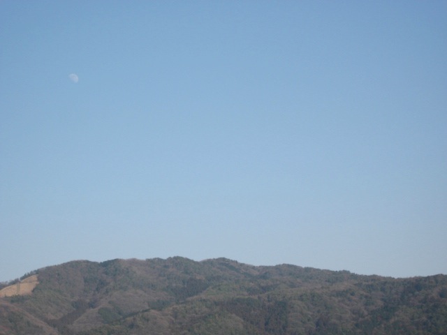 画像: 晴れました。