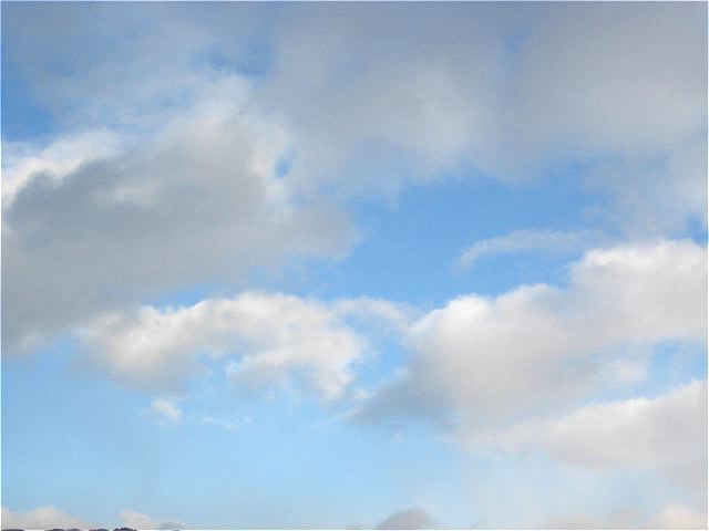 画像: 今日の雪は