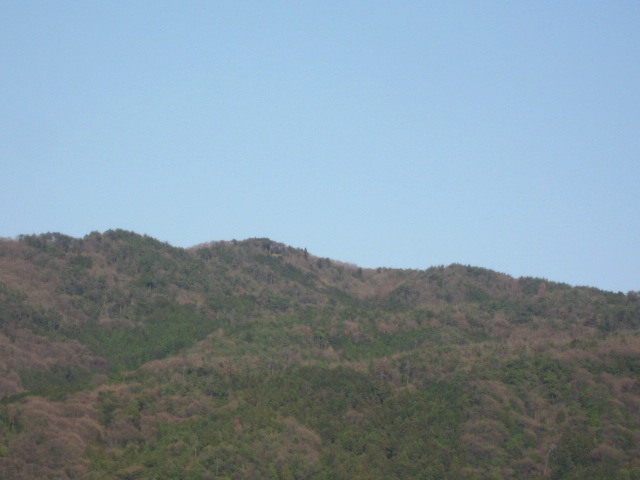 画像: 快晴でした。