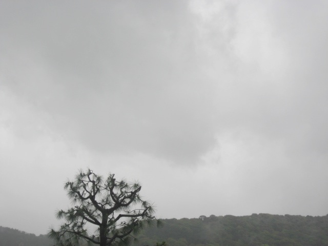画像: 午前中は雨と霧で