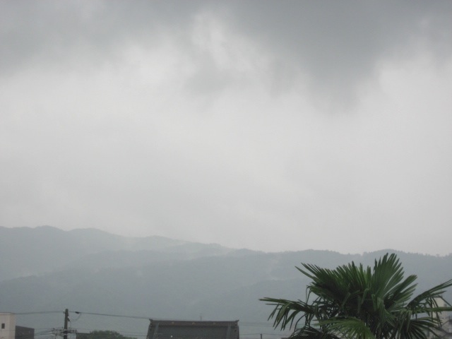 画像: 雨が降って