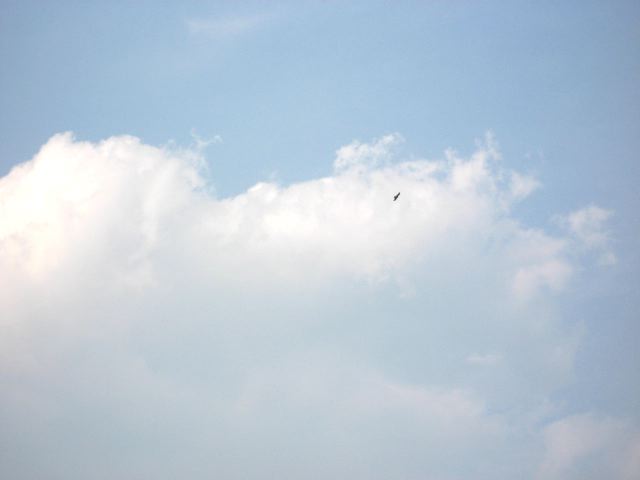 画像: いいお天気でしたね。