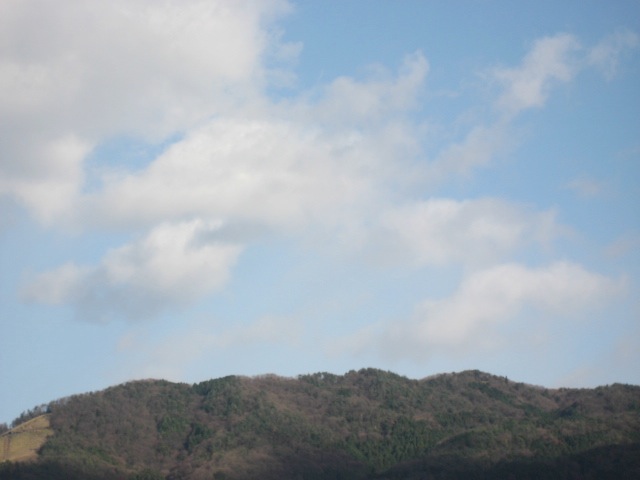画像: あけまして