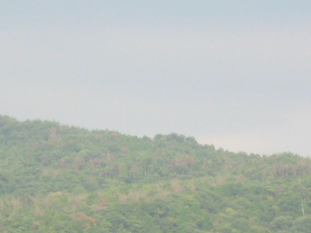 画像: 蒸し暑さが少し