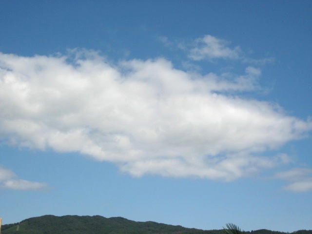 画像: 気持ちのよいお天気