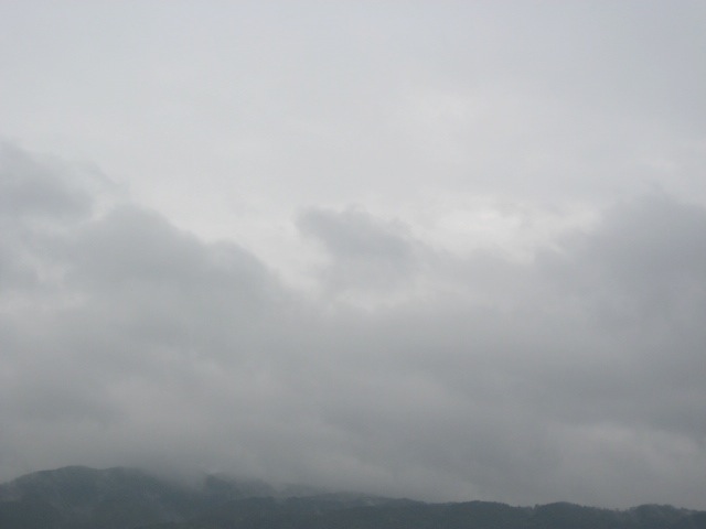 画像: よく降りました。