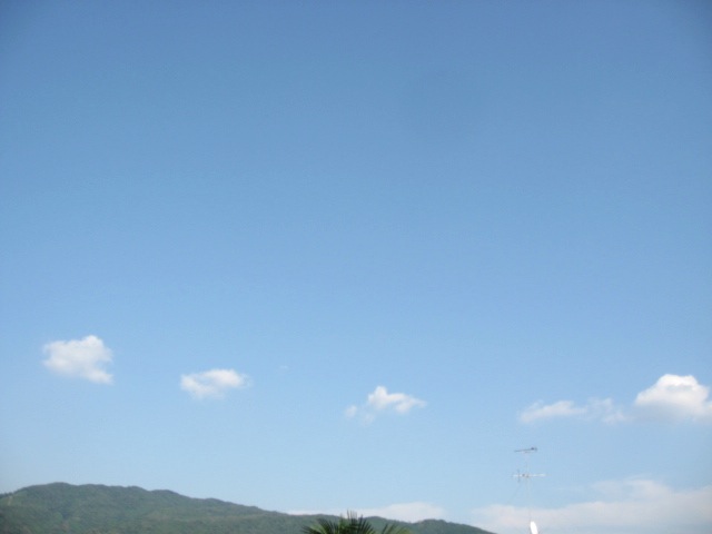 画像: ぽぽぽぽっと、